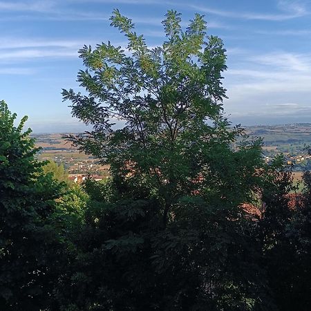 Appartamenti Dei Conti Osimo Esterno foto