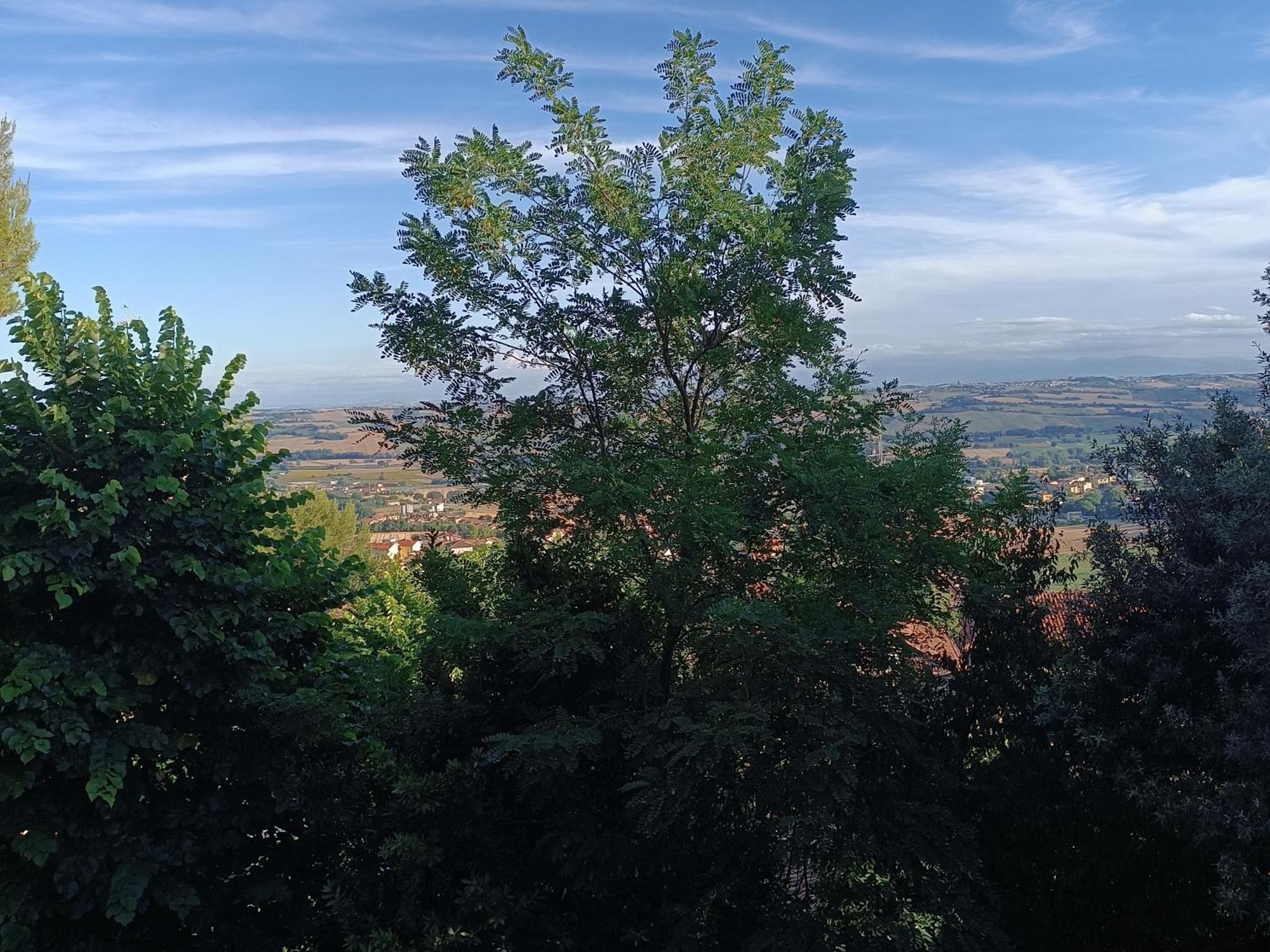 Appartamenti Dei Conti Osimo Esterno foto